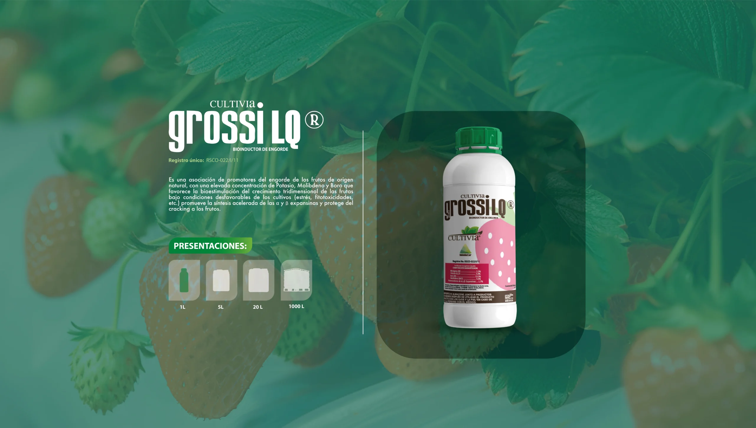 Grossi LQ-18