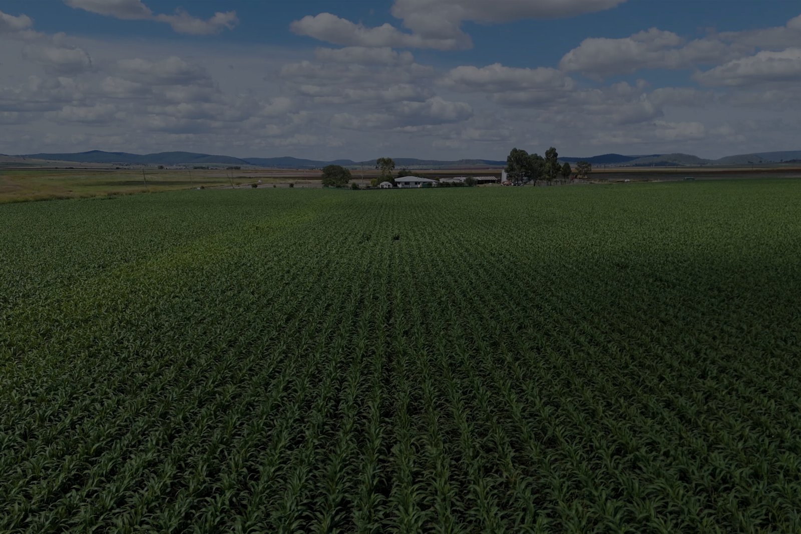 IMG_Campo