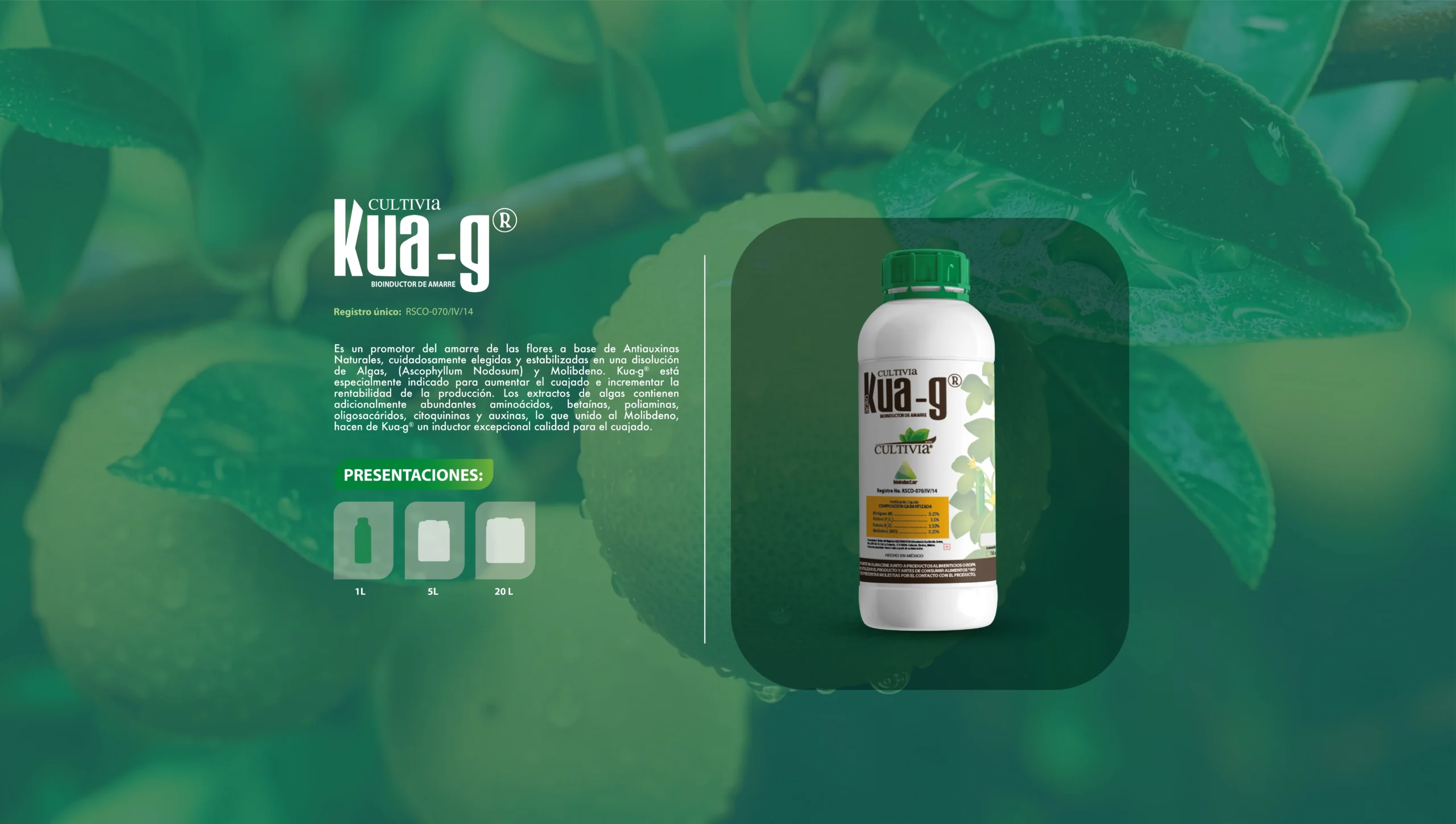 Kua-g-18