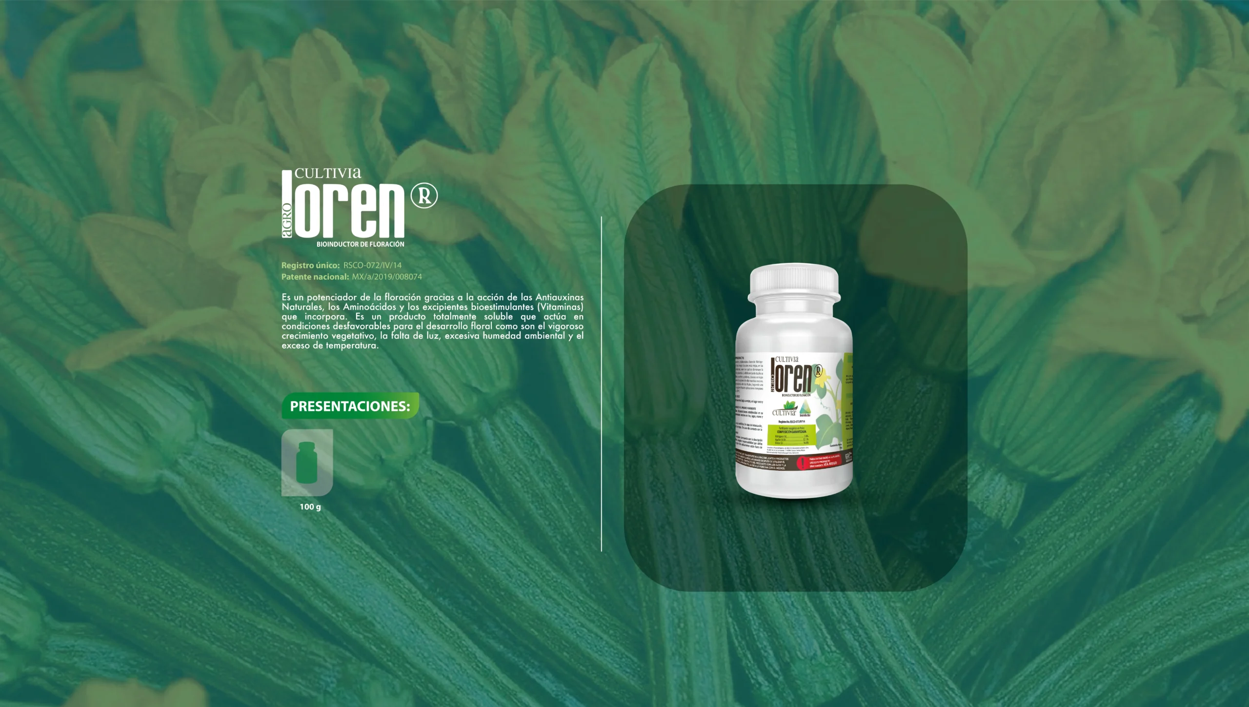 Loren-18