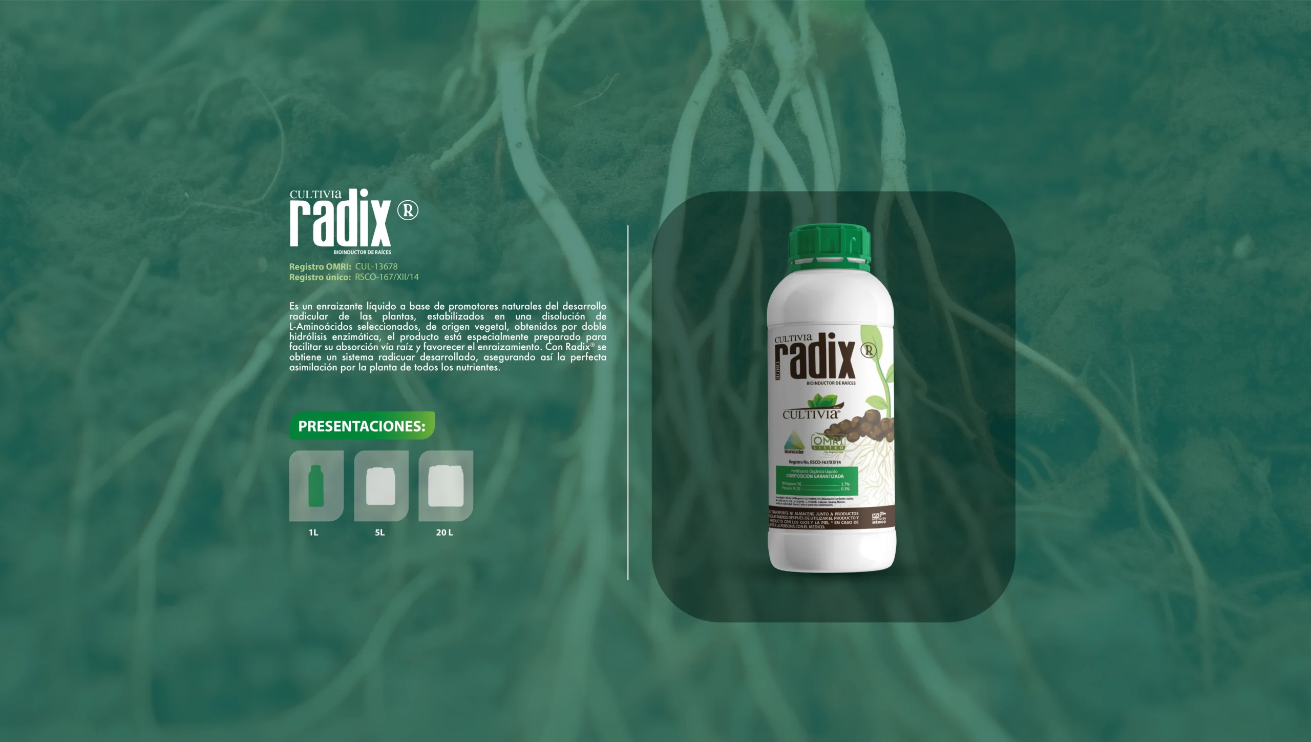 Radix-18